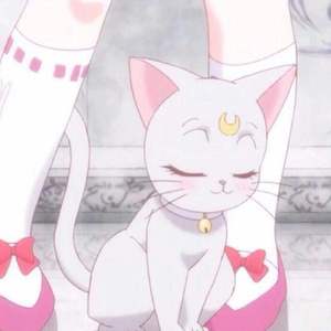 国产一区二区三区四区免费观看
