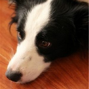 国产一区二区三区四区免费观看
