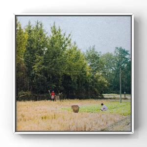 国产一区二区三区四区免费观看
